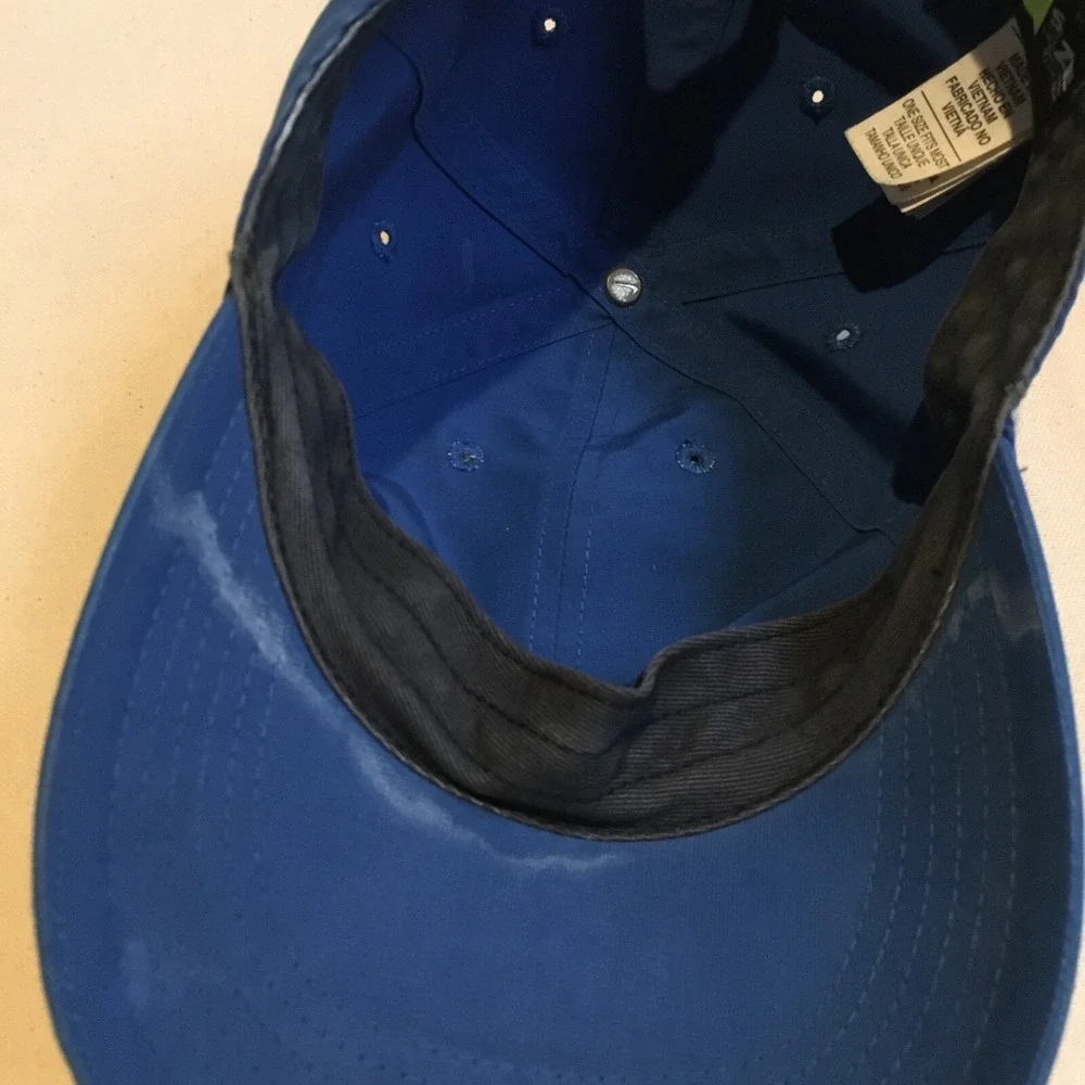 Nike Hat Cap Mens Blue Strap Back Logo Modern Logo Casual Preppy Outdoor Swoosh